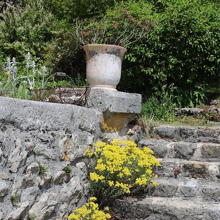 Chateau De Sothonod Bagian luar foto