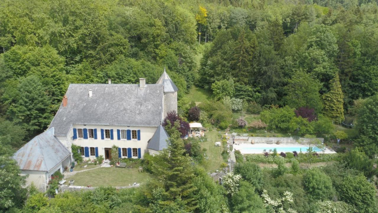 Chateau De Sothonod Bagian luar foto