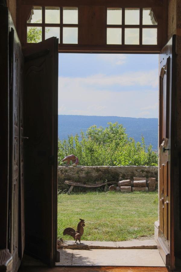 Chateau De Sothonod Bagian luar foto