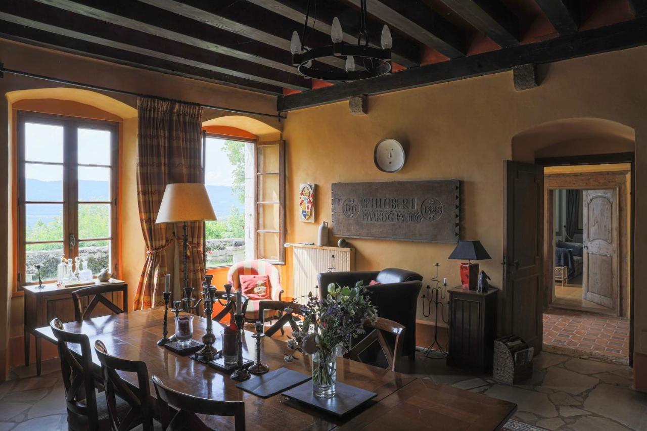 Chateau De Sothonod Bagian luar foto
