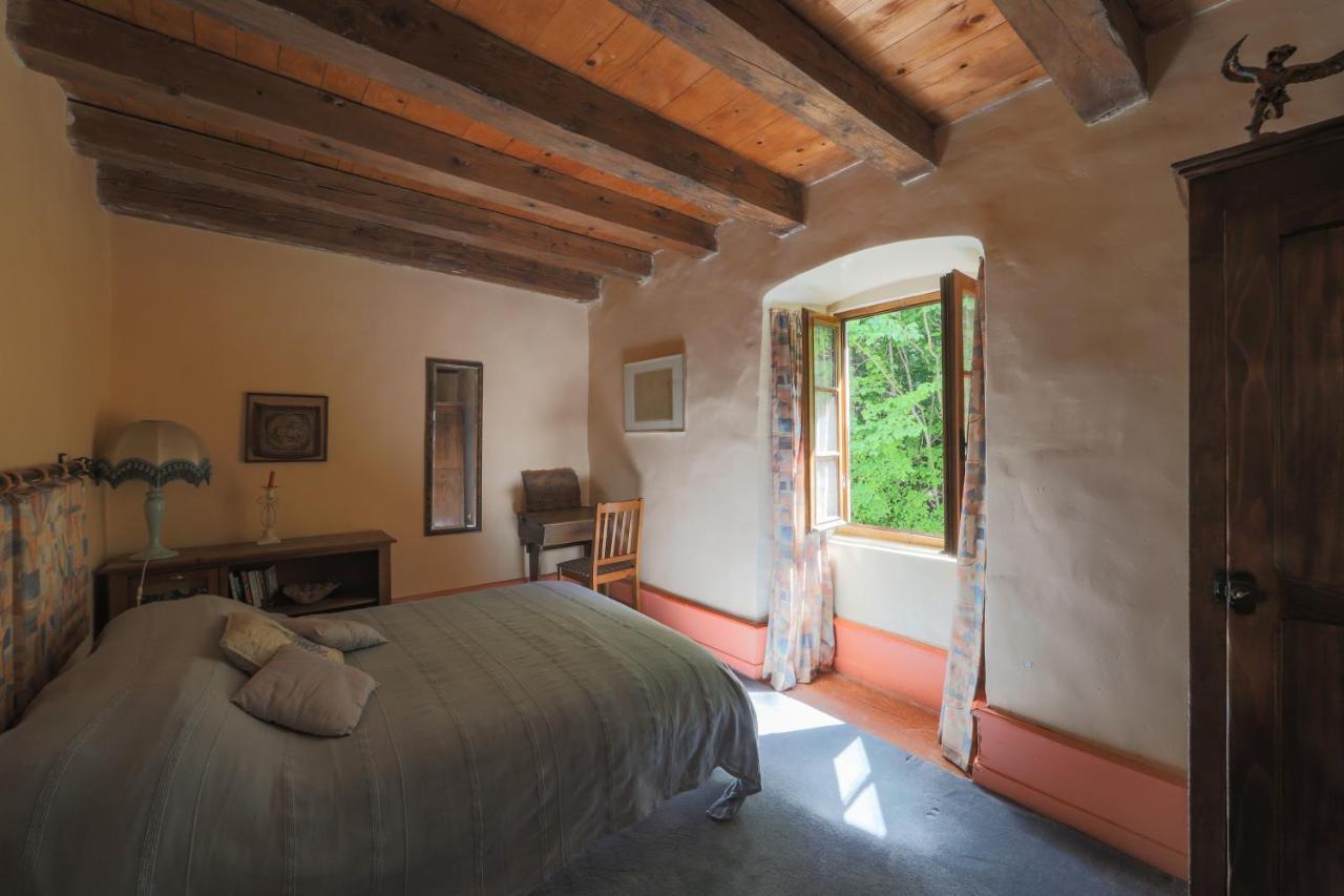 Chateau De Sothonod Bagian luar foto