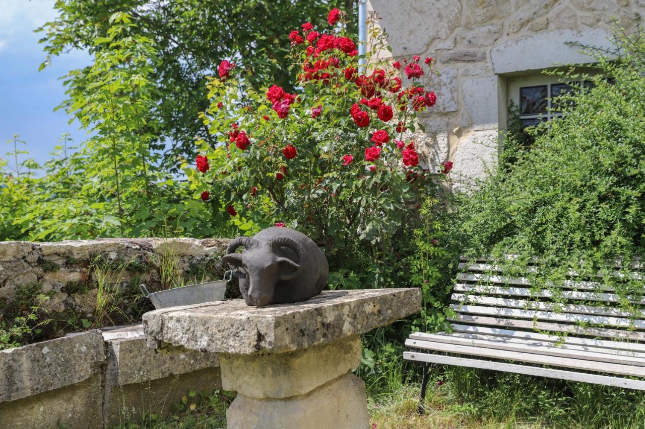Chateau De Sothonod Bagian luar foto