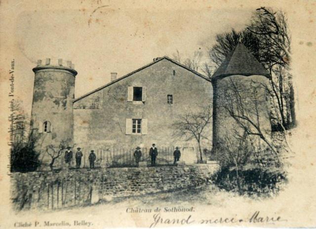 Chateau De Sothonod Bagian luar foto