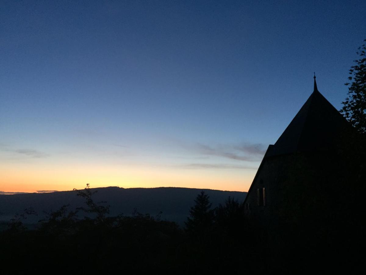 Chateau De Sothonod Bagian luar foto