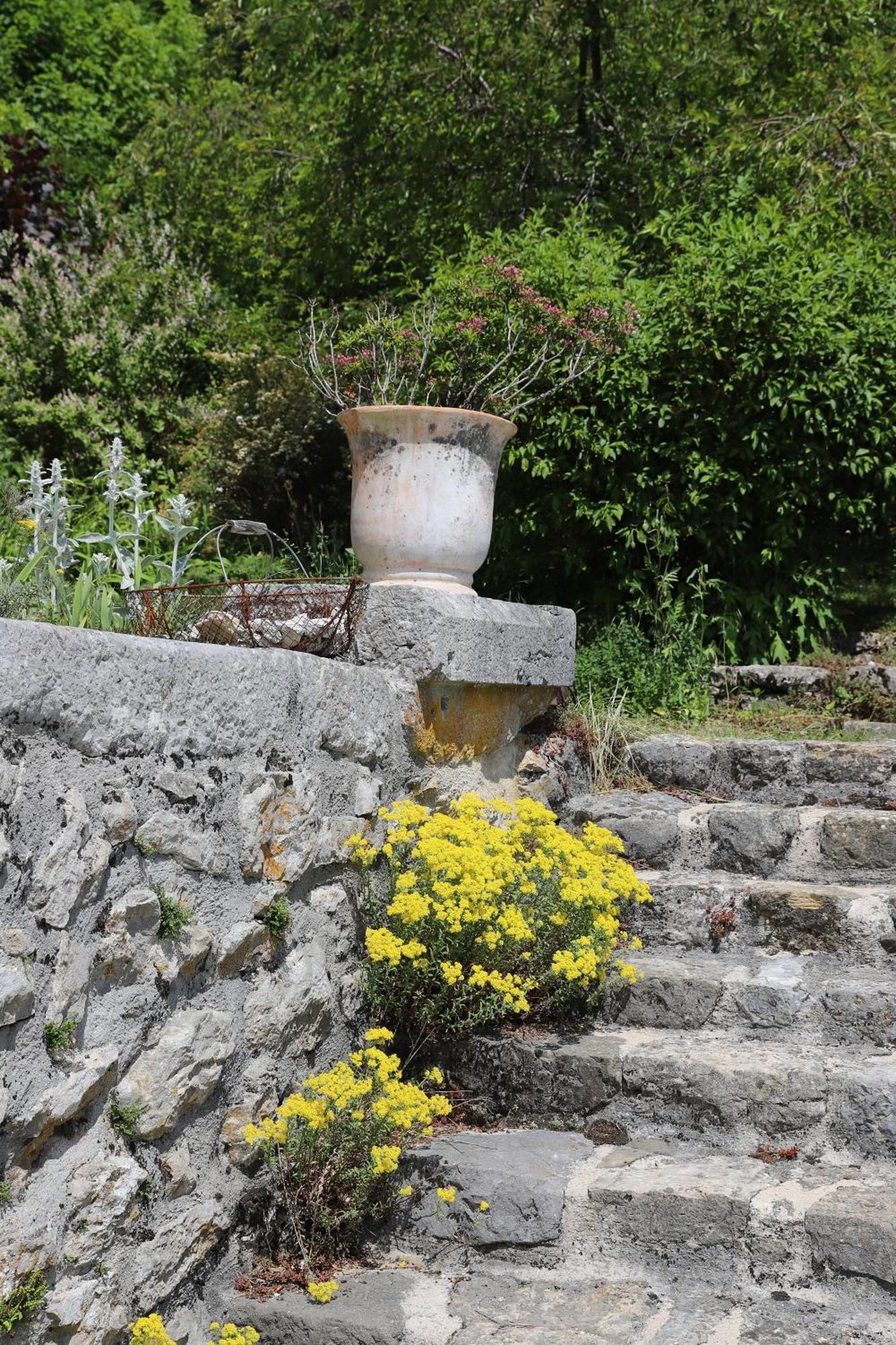 Chateau De Sothonod Bagian luar foto